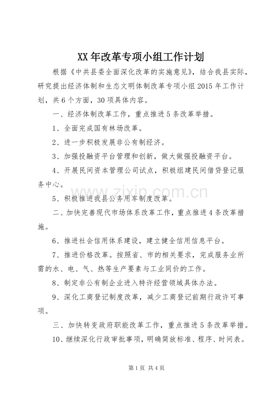 XX年改革专项小组工作计划.docx_第1页