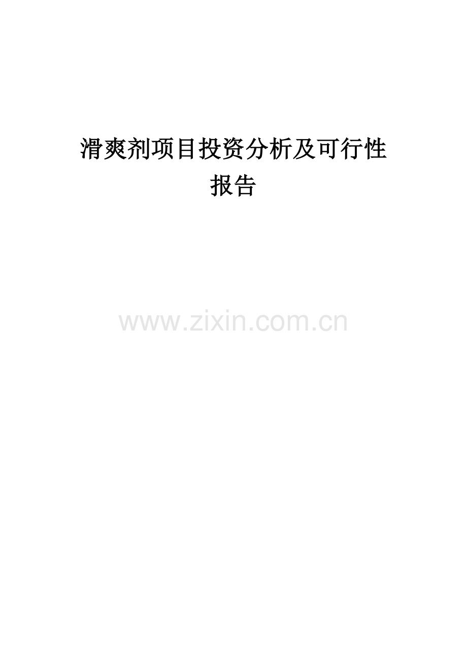 滑爽剂项目投资分析及可行性报告.docx_第1页