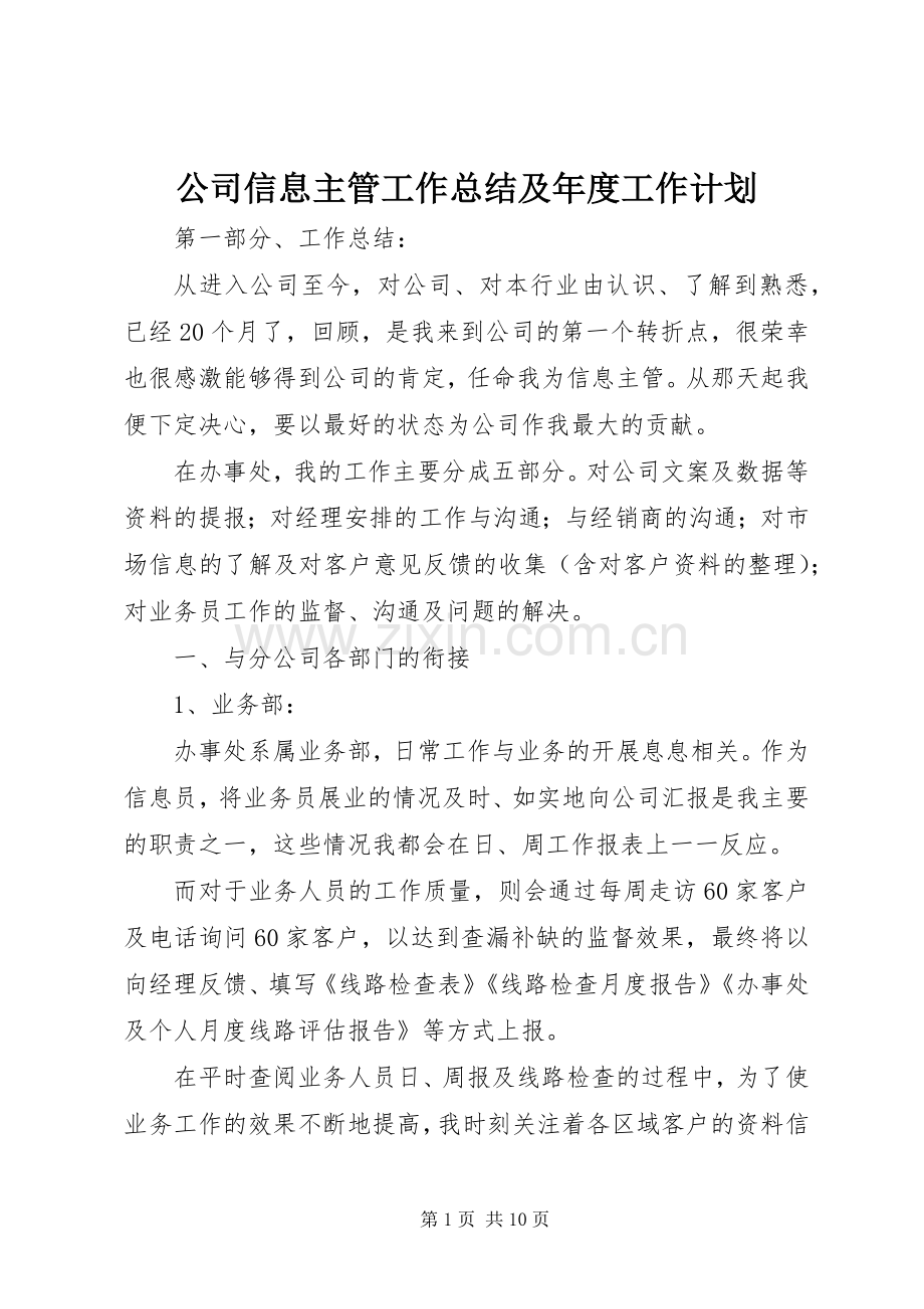 公司信息主管工作总结及年度工作计划 .docx_第1页