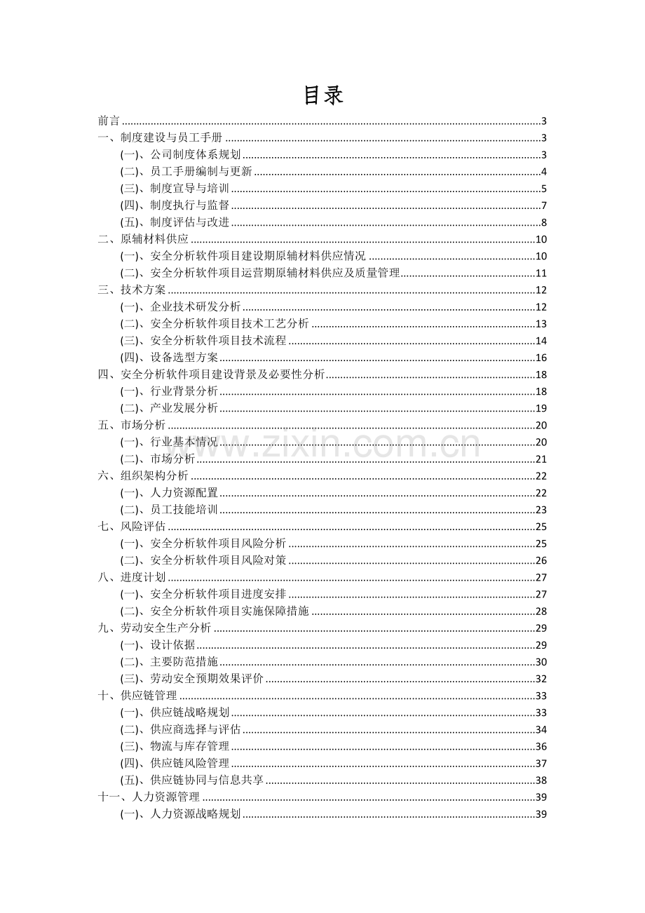 安全分析软件项目可行性研究报告.docx_第2页