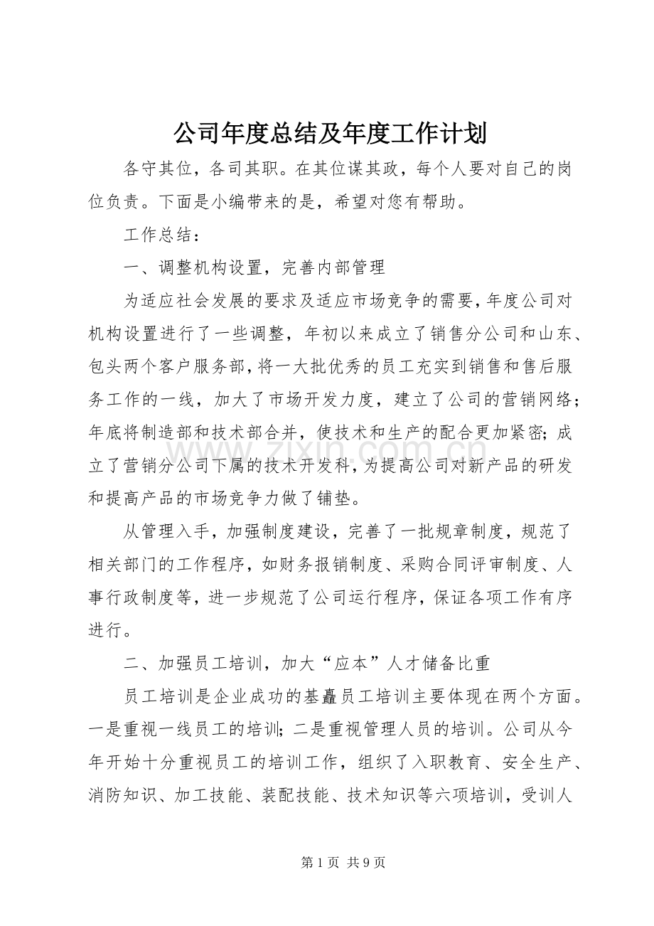 公司年度总结及年度工作计划.docx_第1页