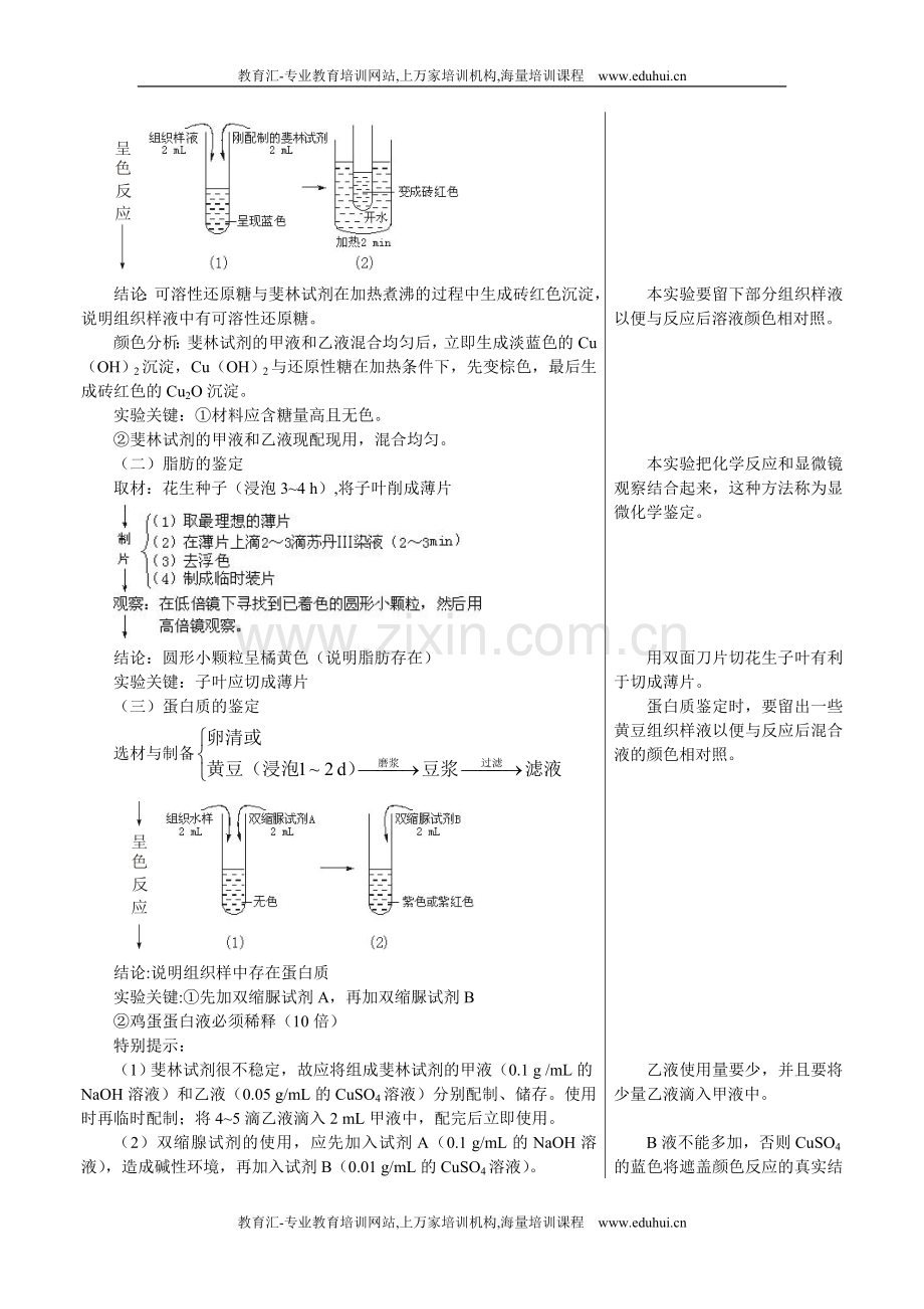 人教新课标高中生物必修一章节知识要点（细胞中的元素和化合物）.doc_第3页