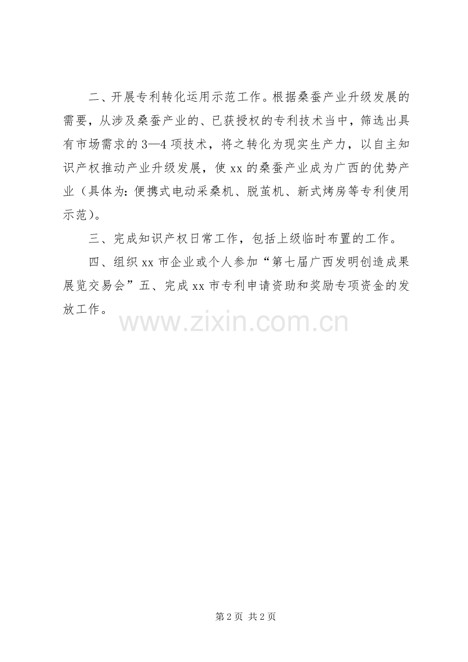 知识产权局XX年工作计划.docx_第2页