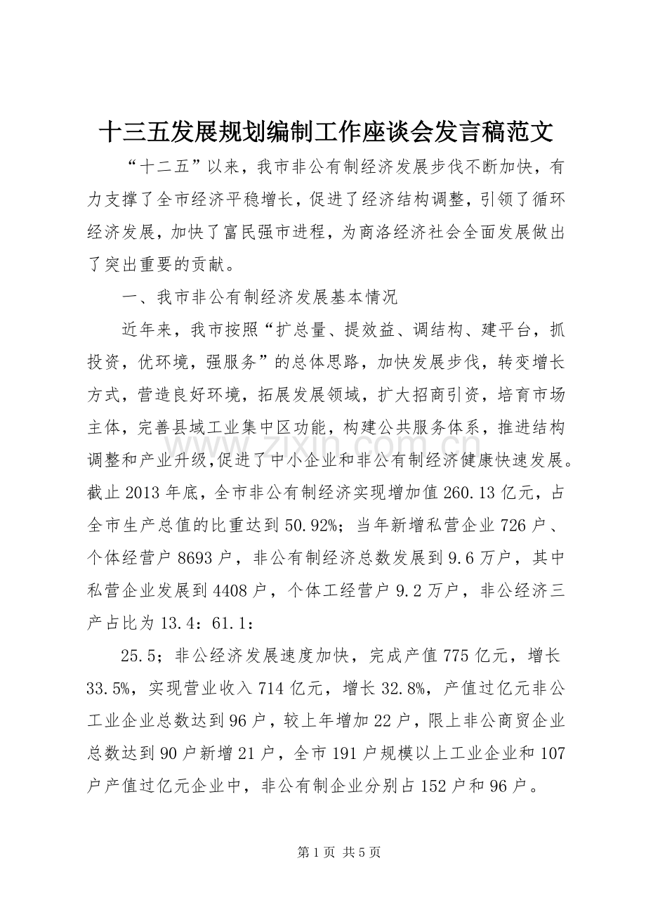 十三五发展规划编制工作座谈会发言稿范文.docx_第1页