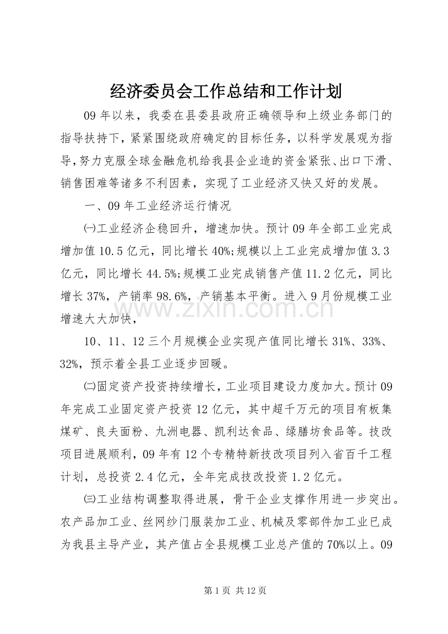 经济委员会工作总结和工作计划 .docx_第1页