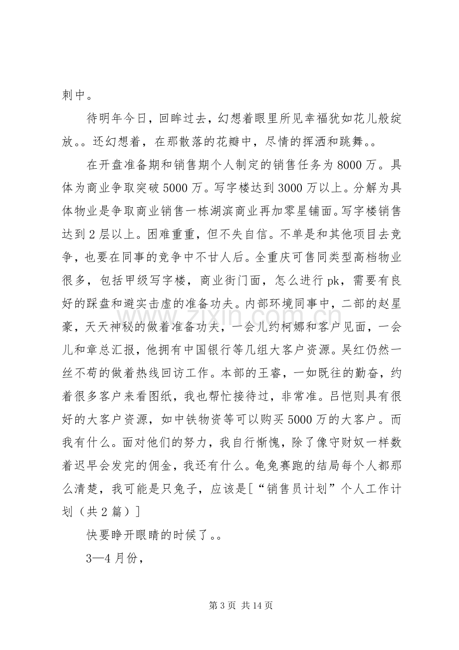 篇一：“销售员计划”个人工作计划.docx_第3页