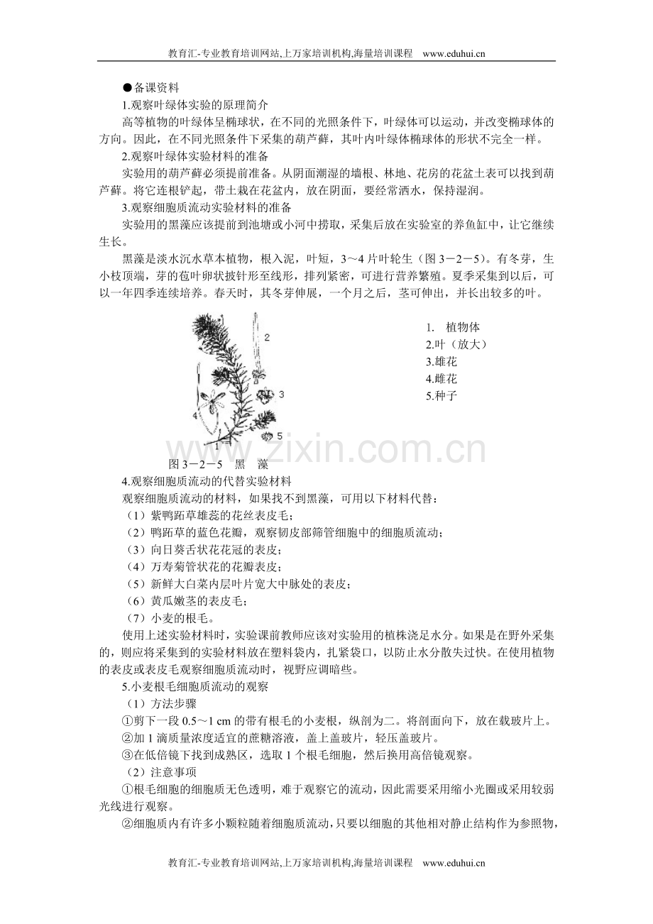 人教新课标高中生物必修一教师备课参考（细胞器——系统内的分工合作第2课时）.doc_第1页