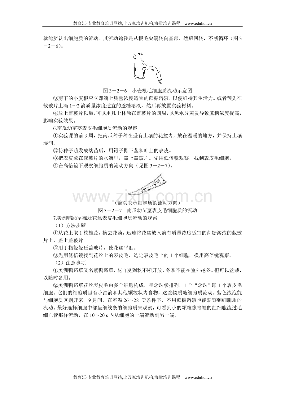 人教新课标高中生物必修一教师备课参考（细胞器——系统内的分工合作第2课时）.doc_第2页