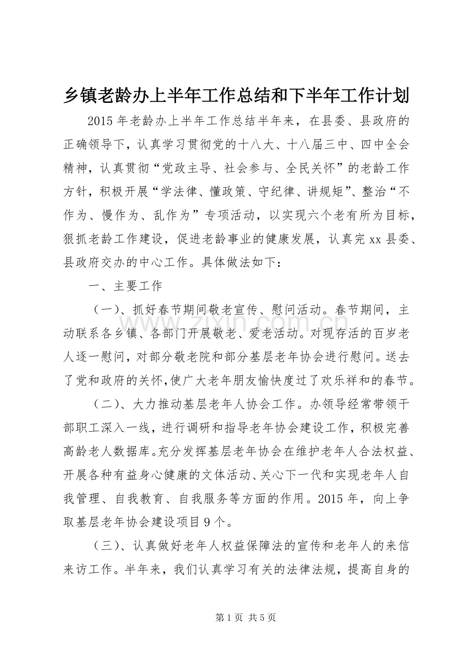 乡镇老龄办上半年工作总结和下半年工作计划.docx_第1页