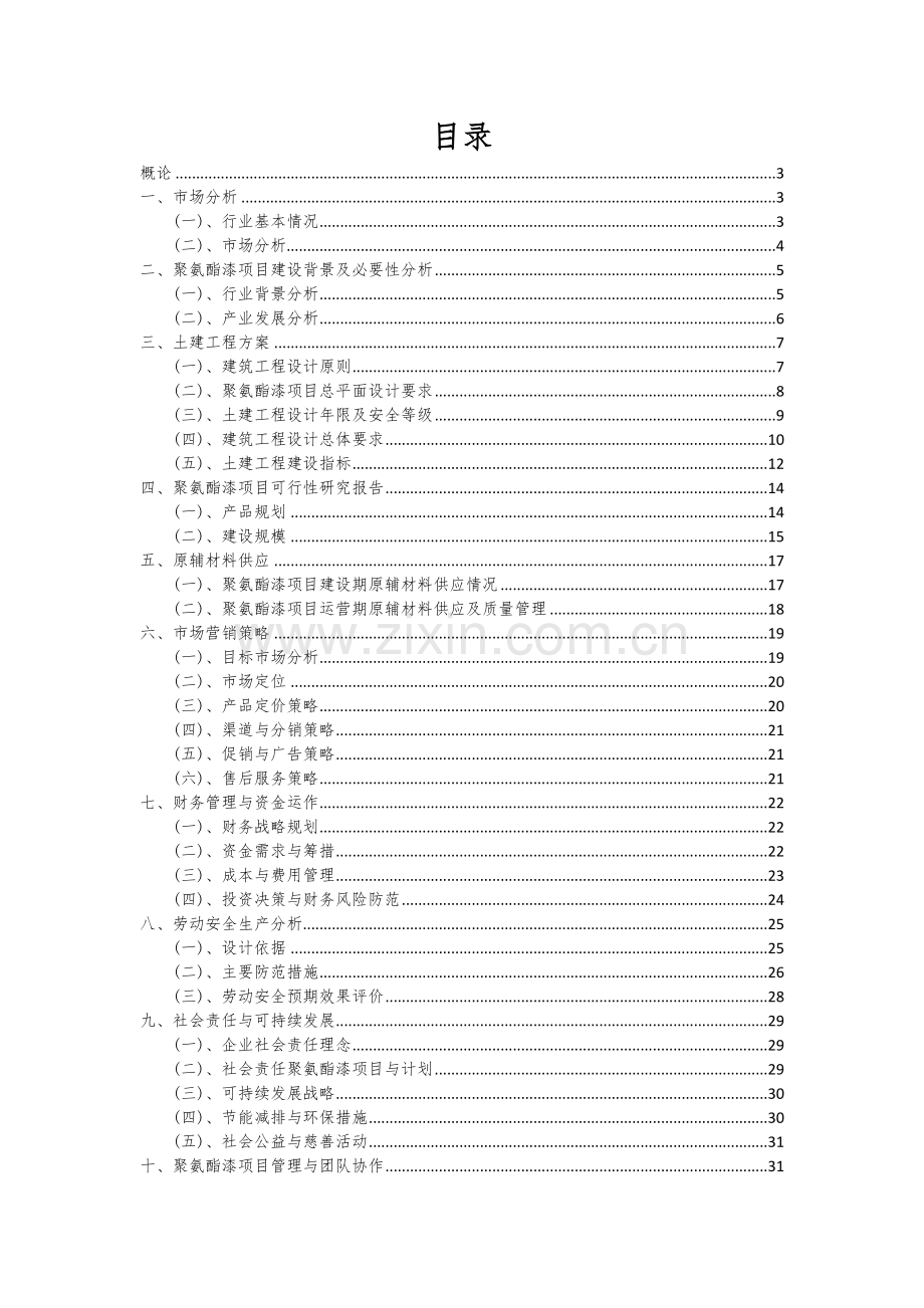 聚氨酯漆项目可行性分析报告.docx_第2页