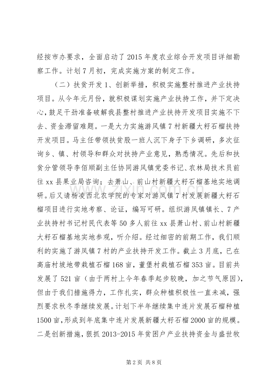 扶贫办上半年工作总结及下半年工作计划.docx_第2页