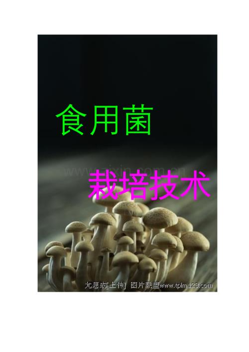 食用菌栽培技术(四)【杏鲍菇;圈白蘑】.doc