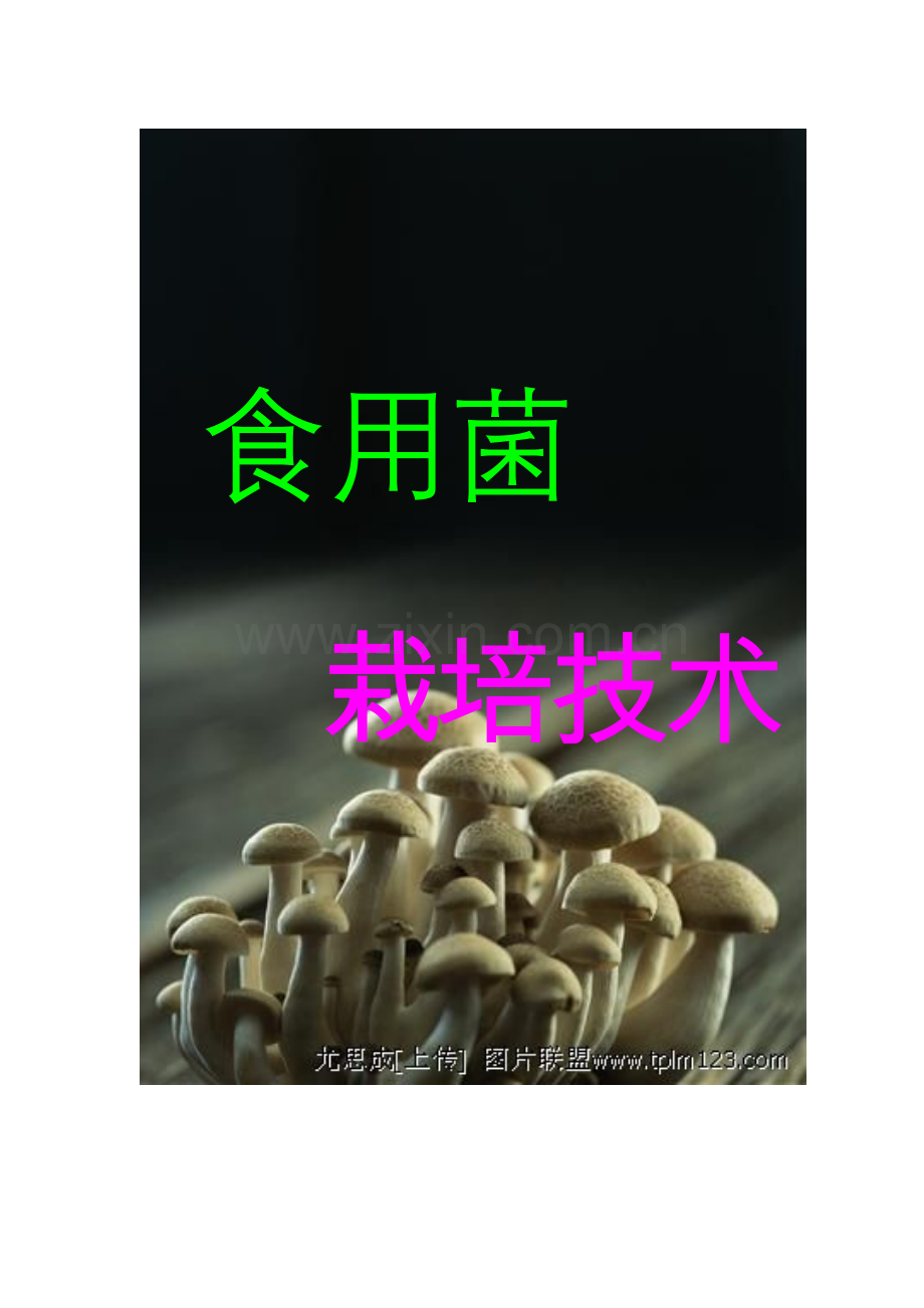 食用菌栽培技术(四)【杏鲍菇;圈白蘑】.doc_第1页