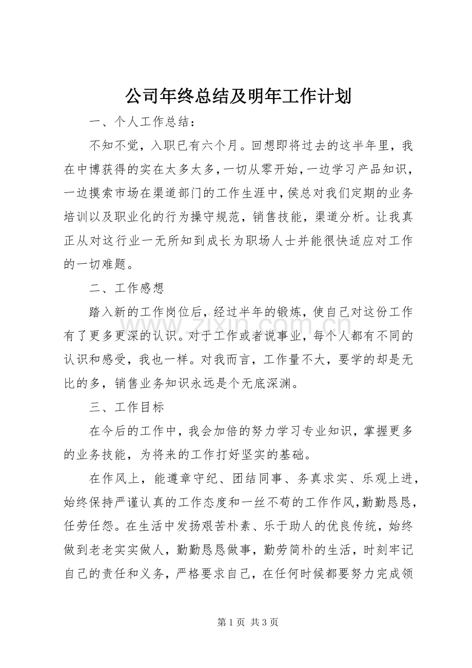 公司年终总结及明年工作计划.docx_第1页