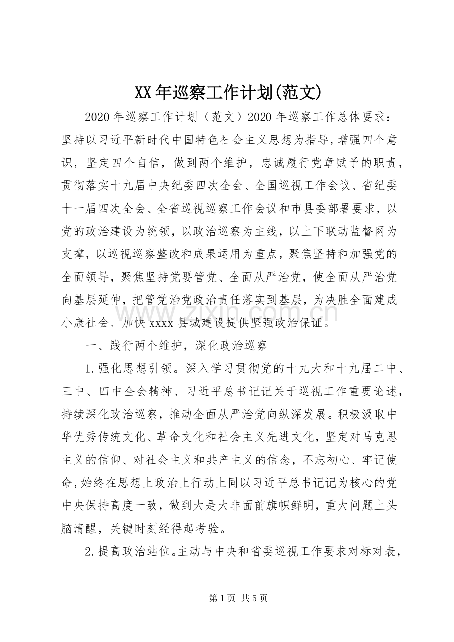 XX年巡察工作计划(范文).docx_第1页