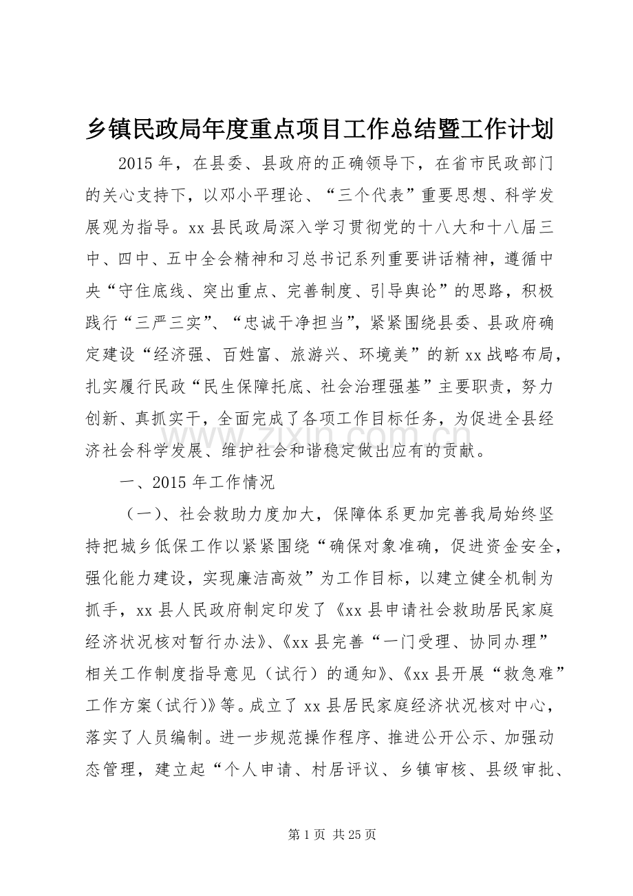 乡镇民政局年度重点项目工作总结暨工作计划.docx_第1页