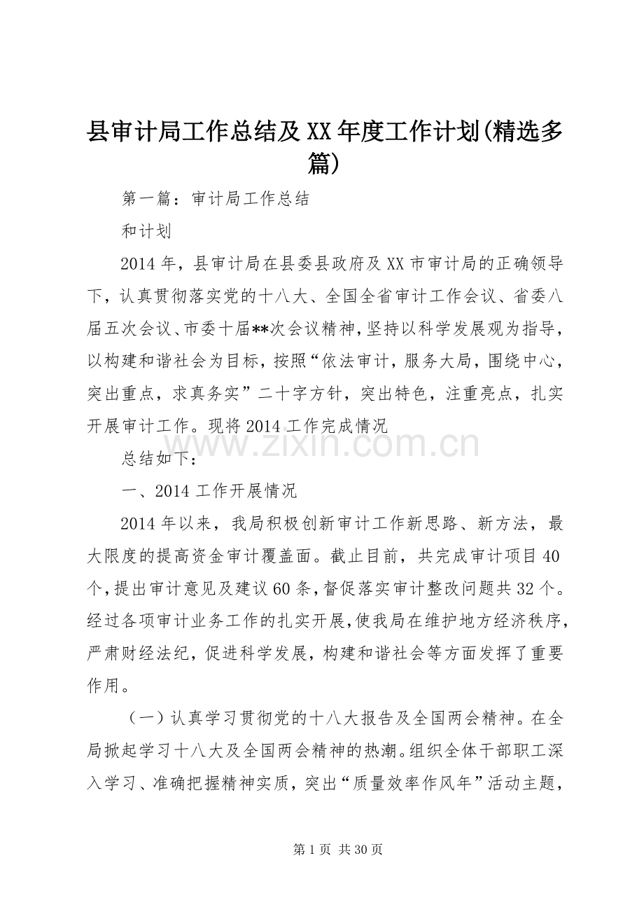 县审计局工作总结及XX年度工作计划(多篇).docx_第1页