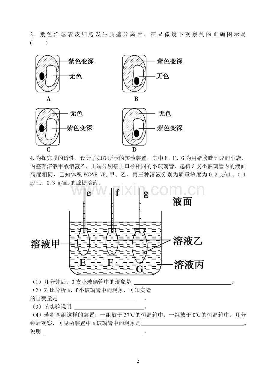 植物对水分吸收及利用导学案.doc_第2页