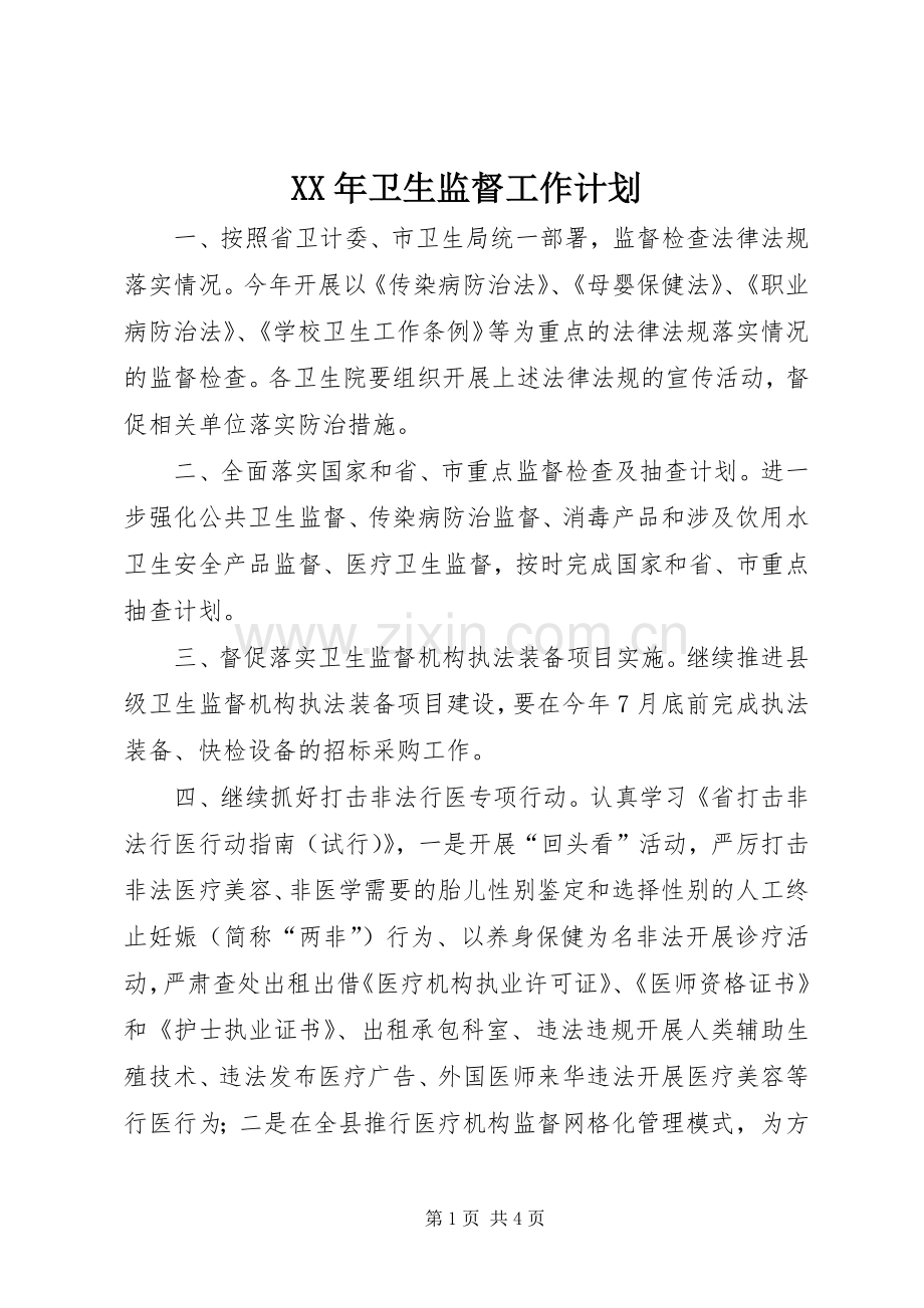 XX年卫生监督工作计划.docx_第1页