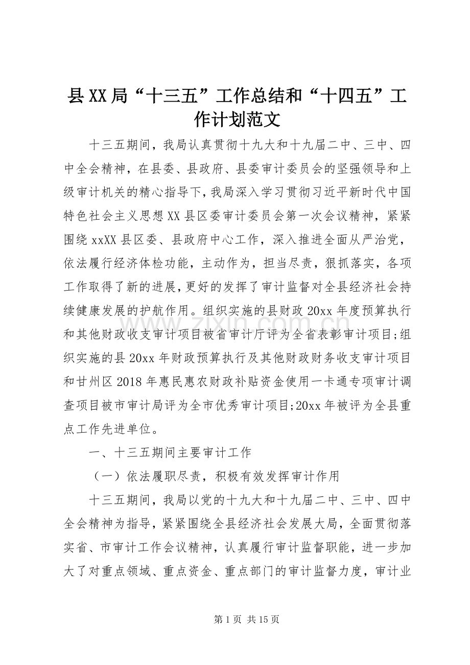 县XX局“十三五”工作总结和“十四五”工作计划范文.docx_第1页