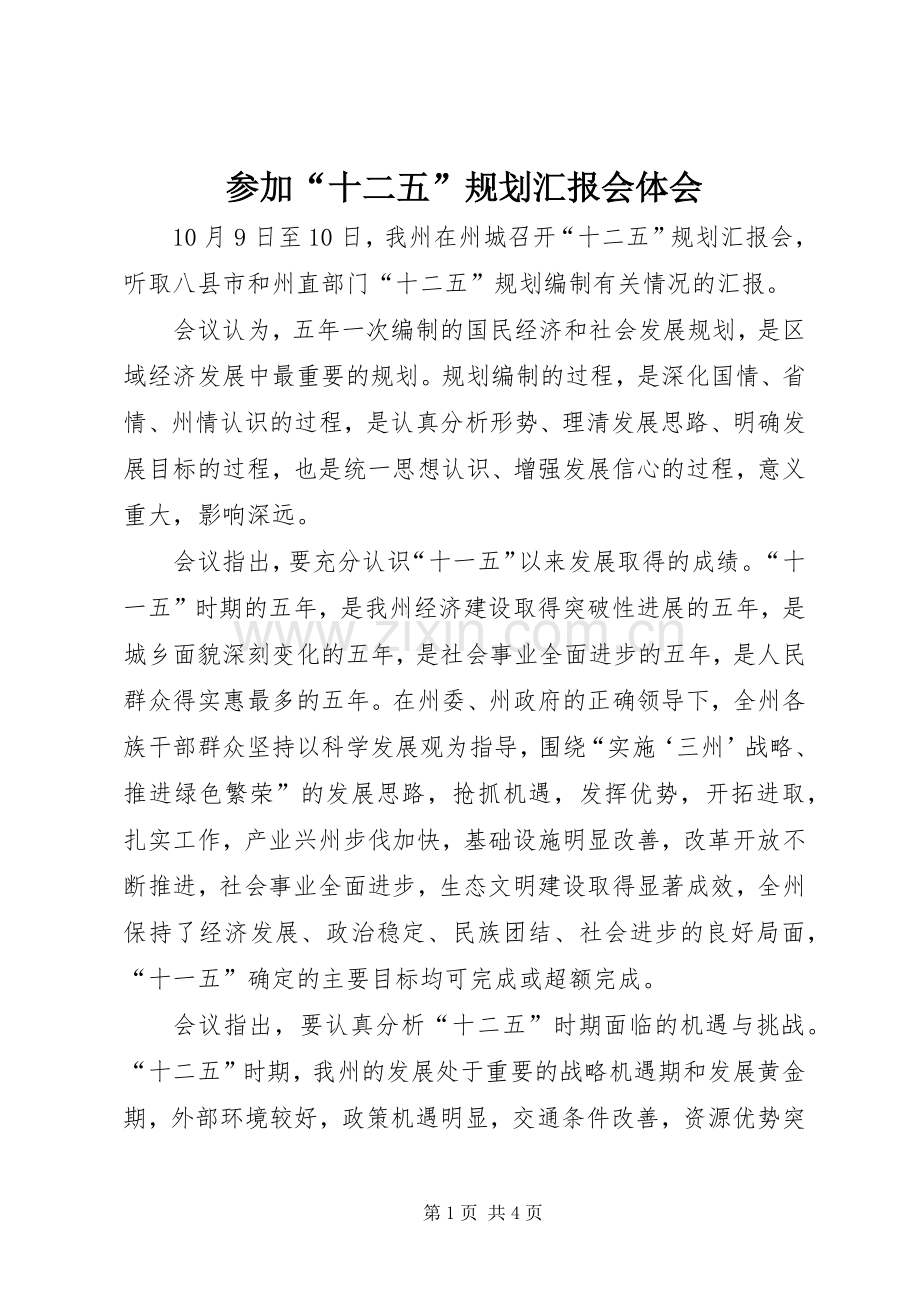 参加“十二五”规划汇报会体会.docx_第1页