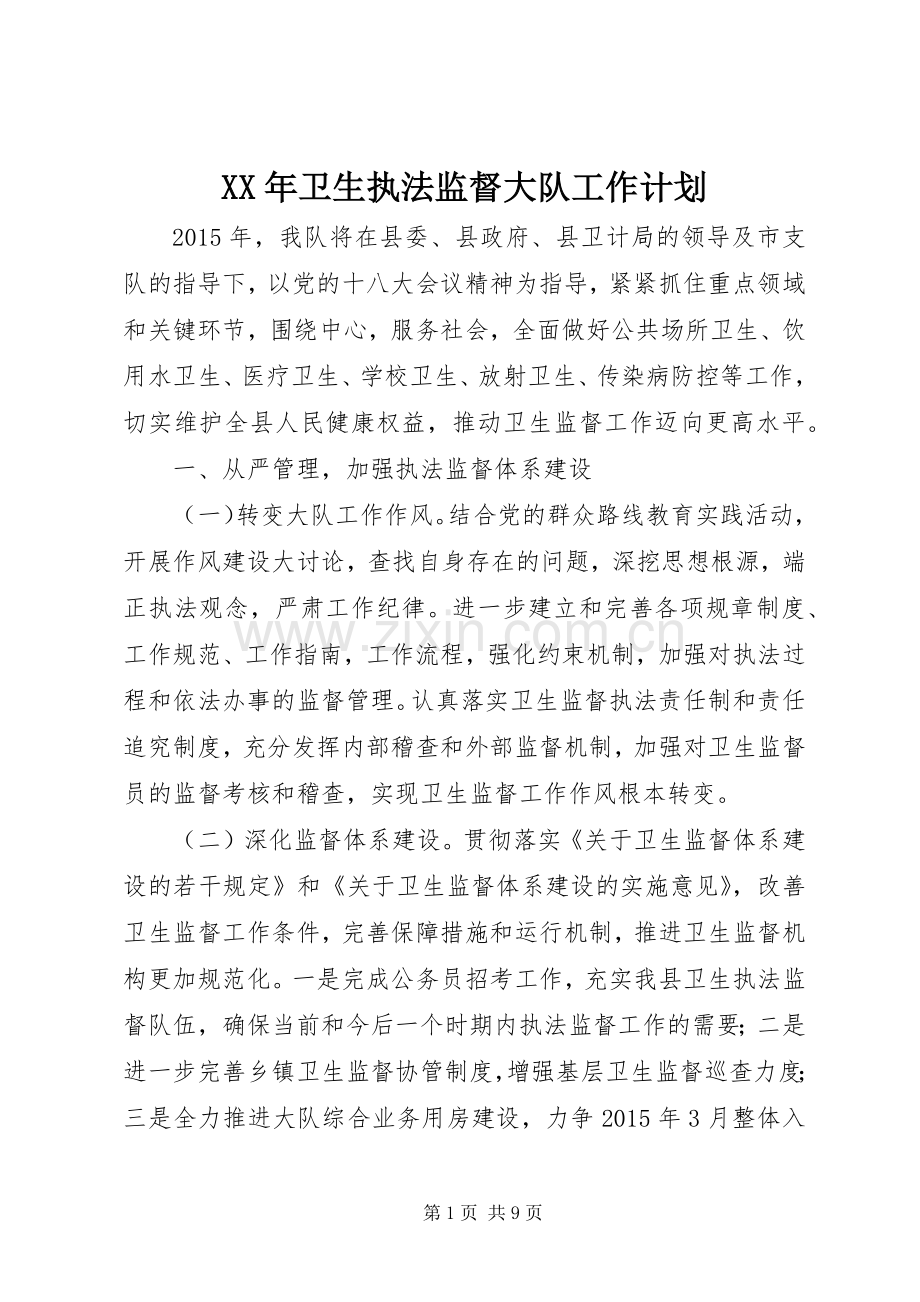 XX年卫生执法监督大队工作计划.docx_第1页