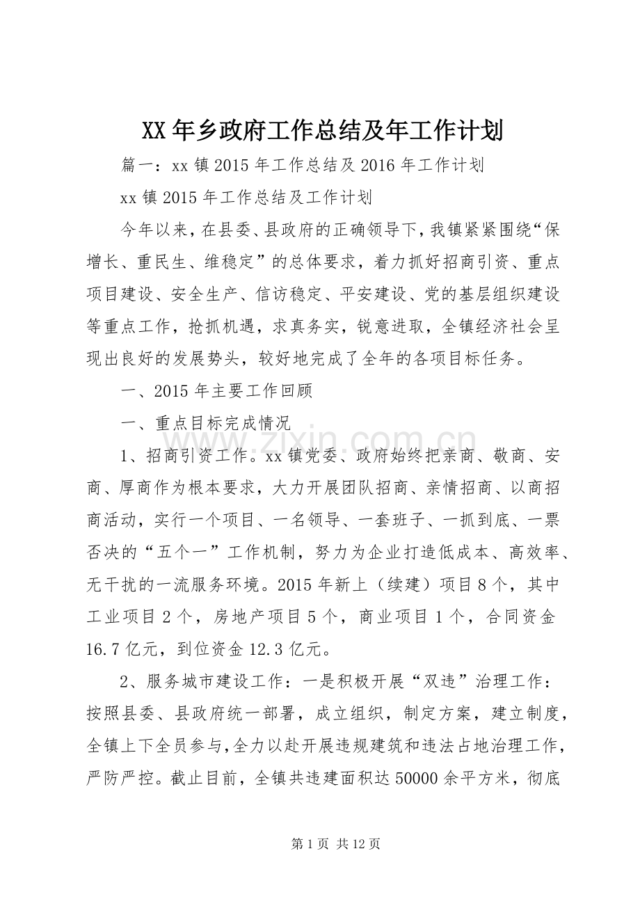 XX年乡政府工作总结及年工作计划.docx_第1页