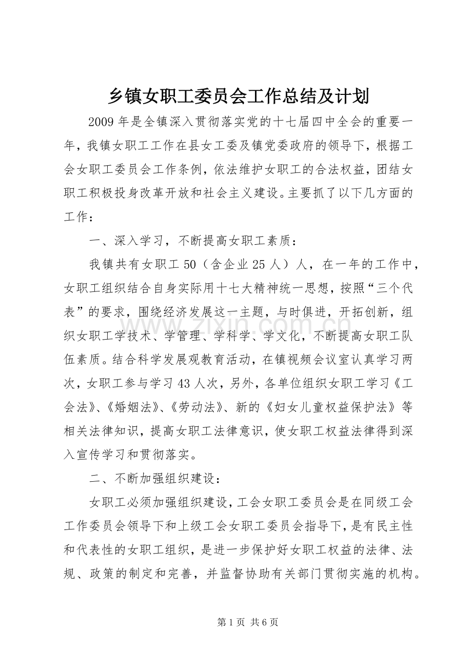 乡镇女职工委员会工作总结及计划.docx_第1页