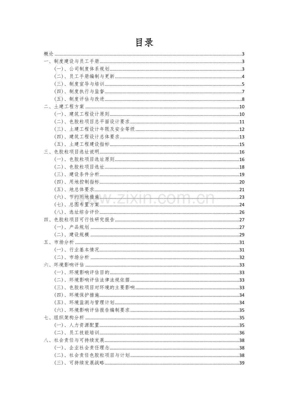 色胶粒项目可行性分析报告.docx_第2页