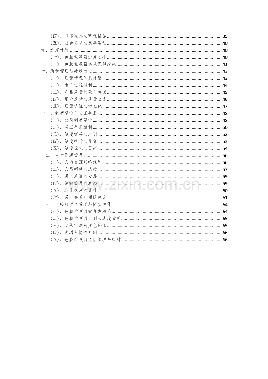 色胶粒项目可行性分析报告.docx_第3页