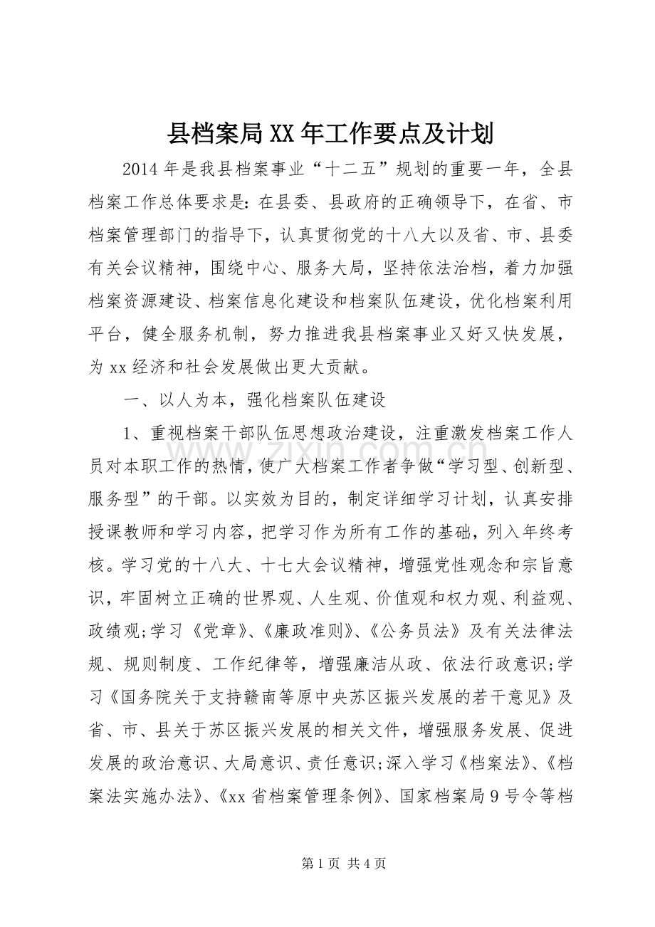 县档案局XX年工作要点及计划.docx_第1页