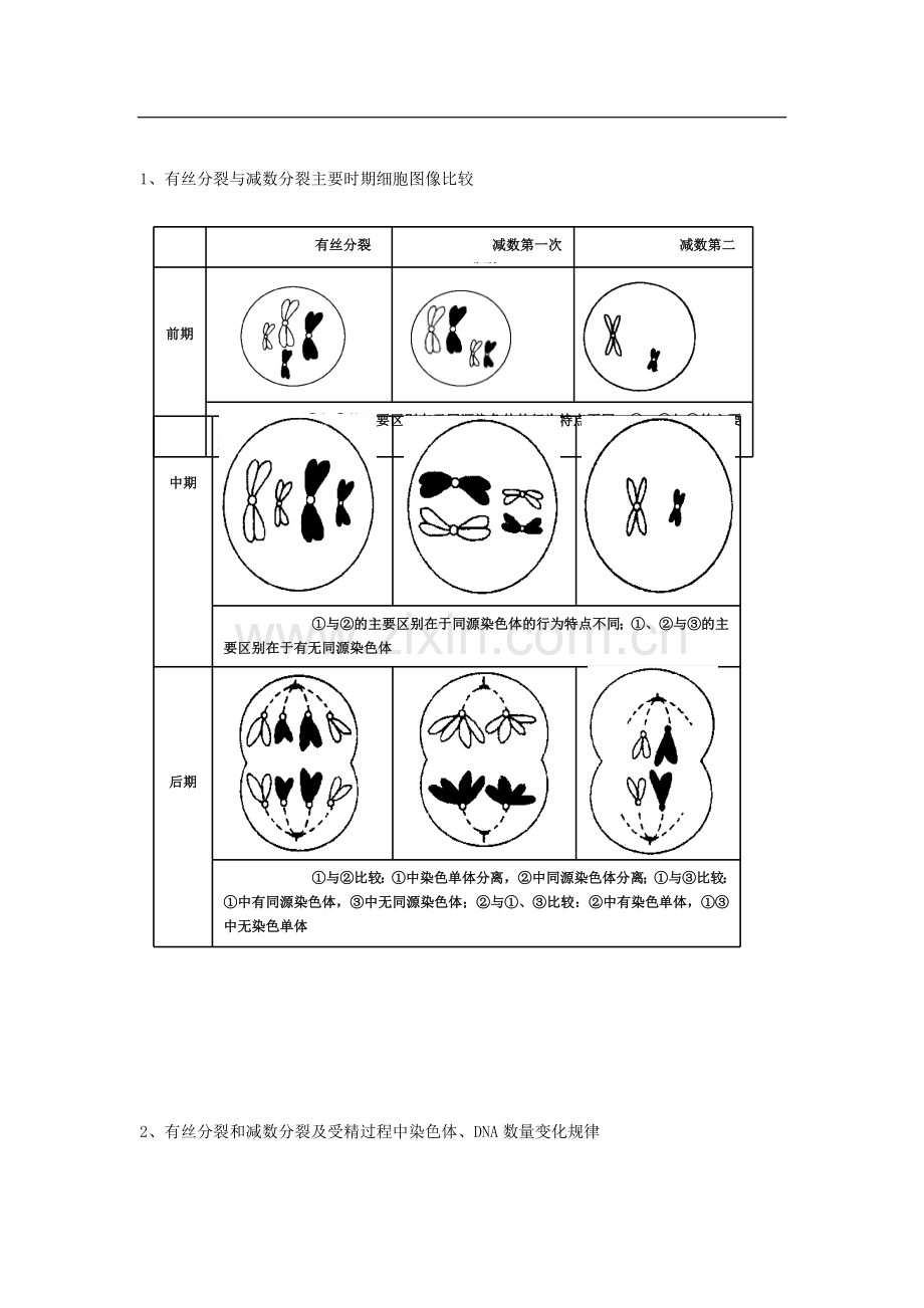 【专项冲击波】2013年高考生物-讲练测系列-专题五细胞的生命历程(教师版).doc_第2页