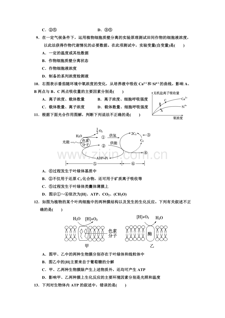 高三生物试题.doc_第3页