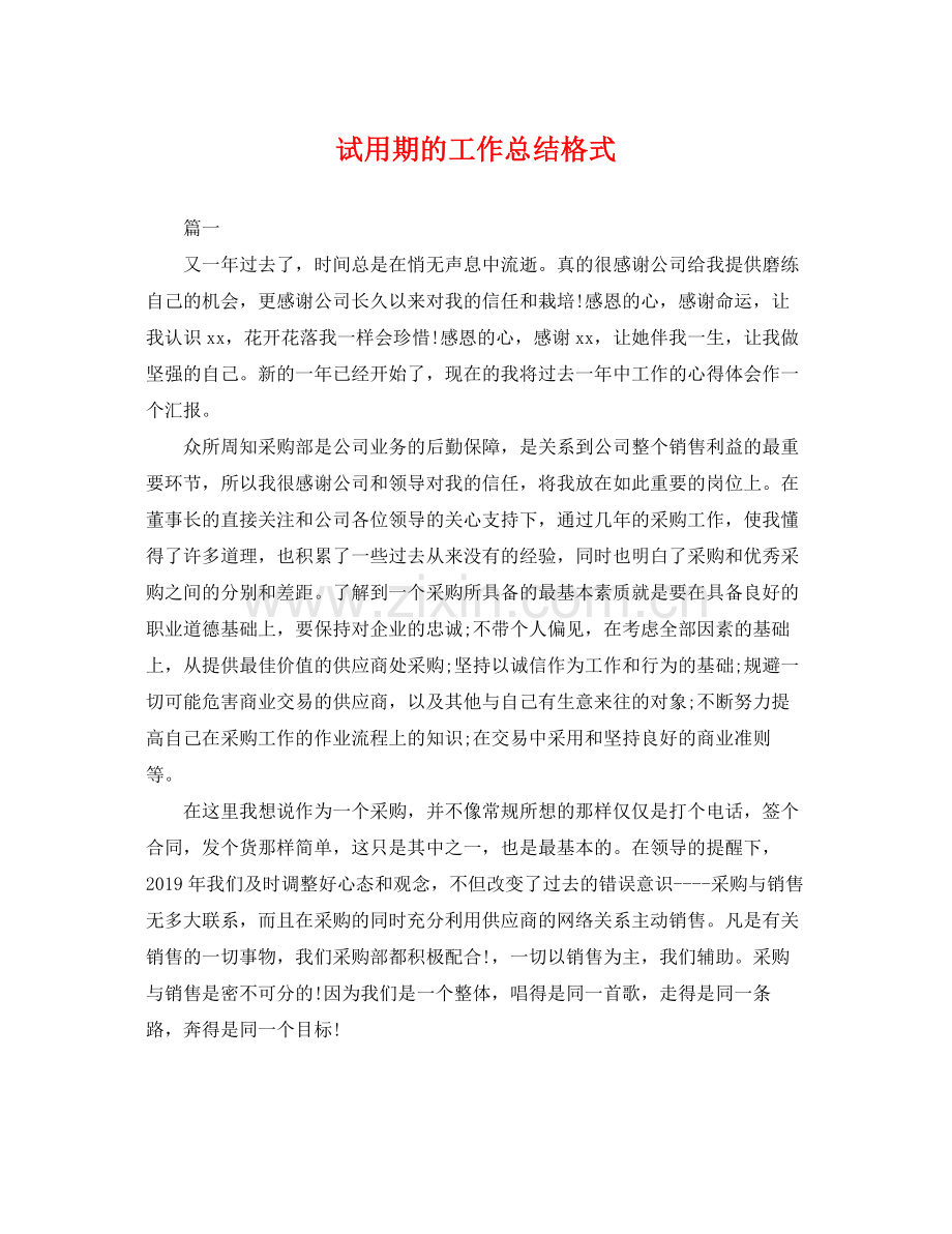 试用期的工作总结格式 .docx_第1页