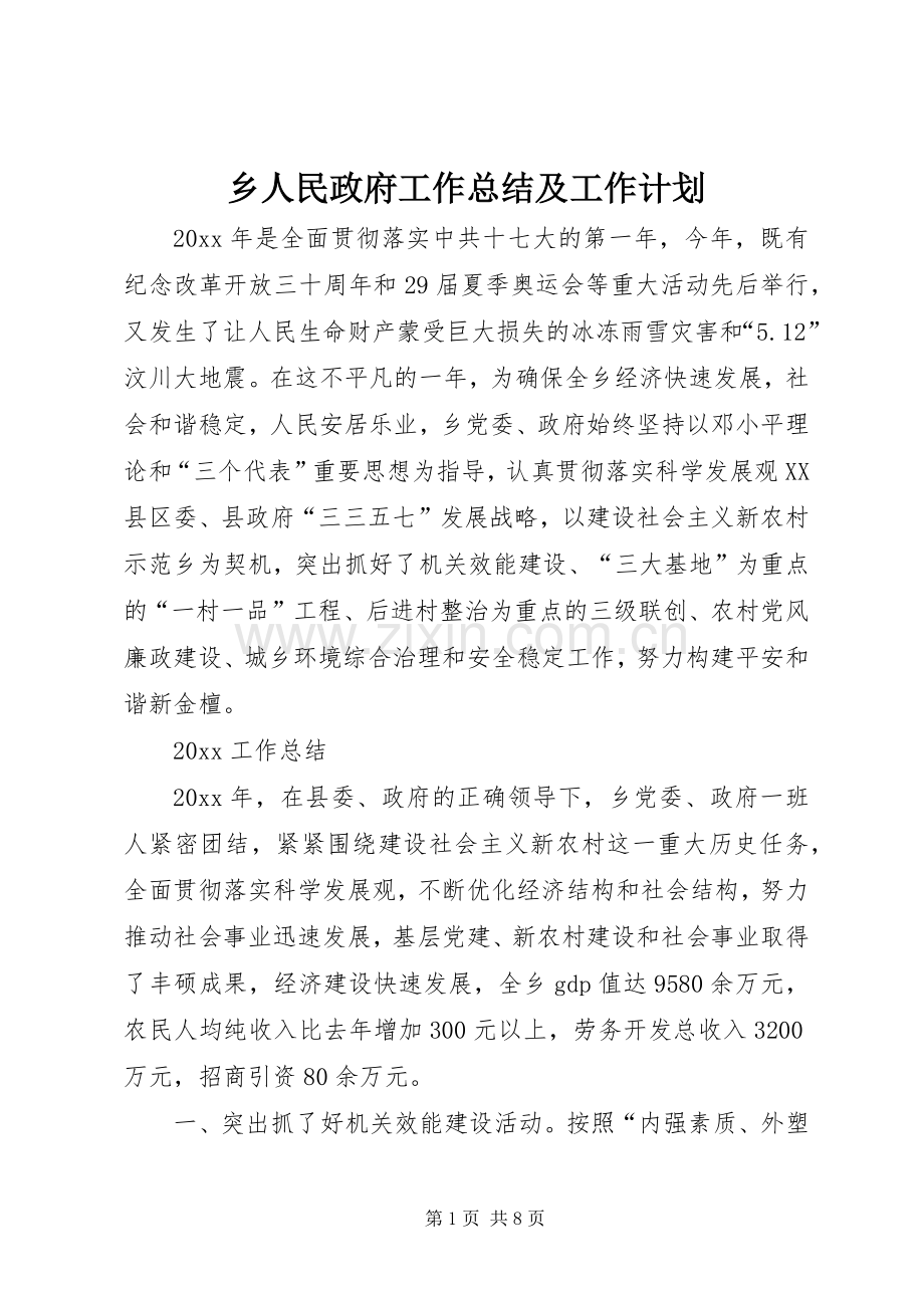 乡人民政府工作总结及工作计划.docx_第1页