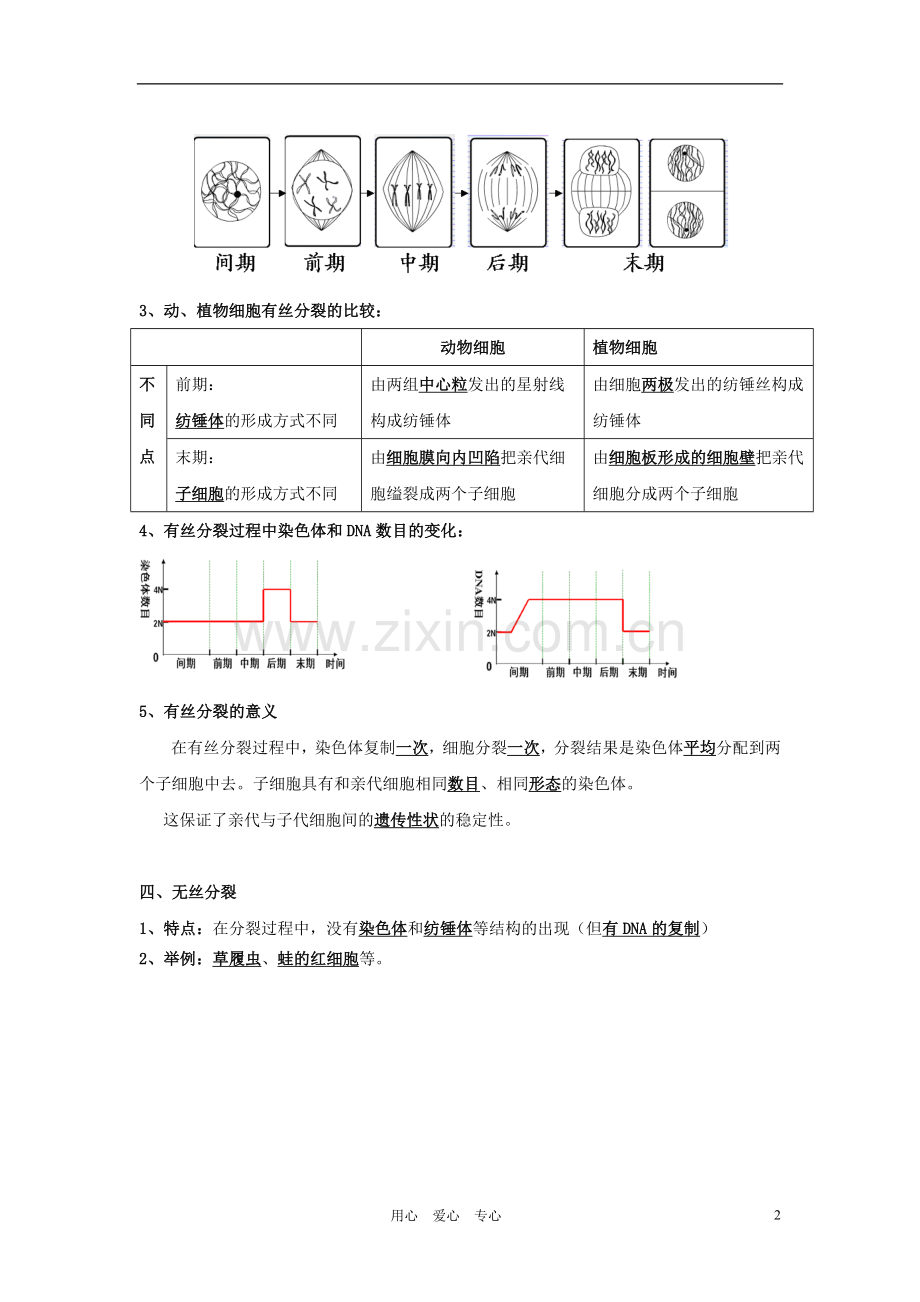 高中生物《细胞增殖》文字素材3-苏教版必修1.doc_第2页