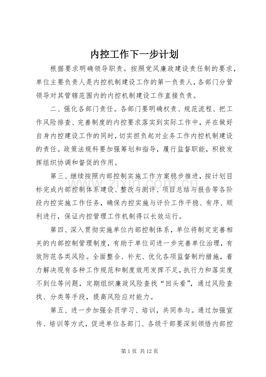 内控工作下一步计划.docx_第1页