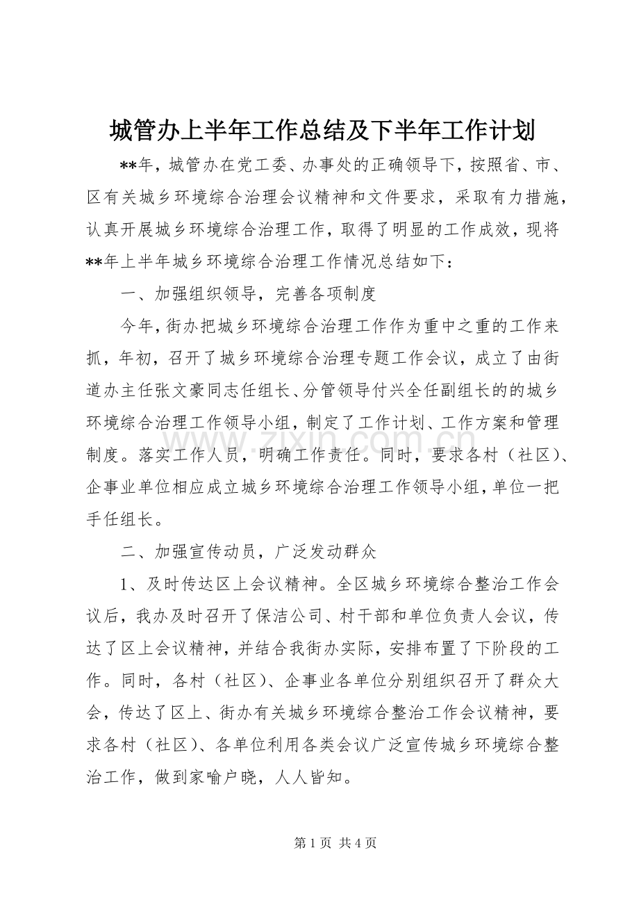 城管办上半年工作总结及下半年工作计划.docx_第1页