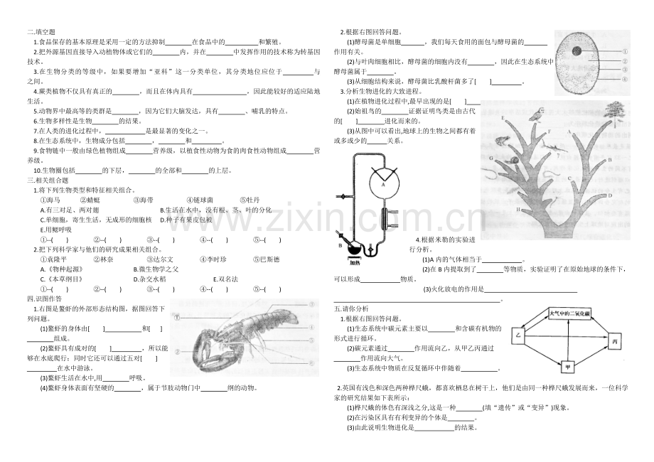 八年级生物模拟题.doc_第2页