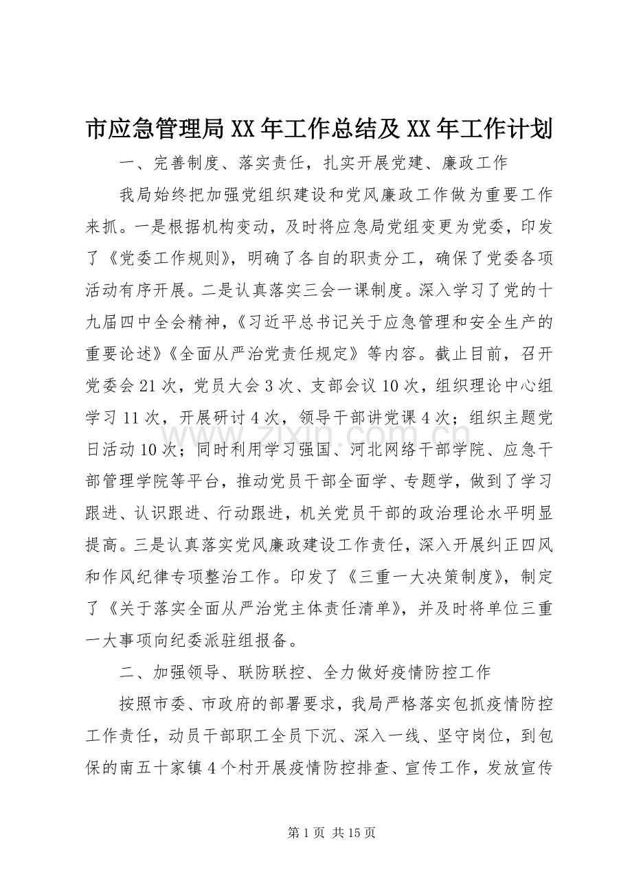 市应急管理局XX年工作总结及XX年工作计划.docx_第1页