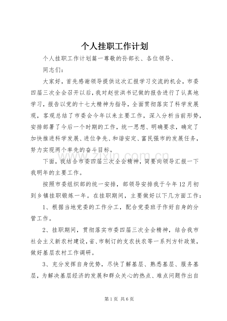 个人挂职工作计划 .docx_第1页