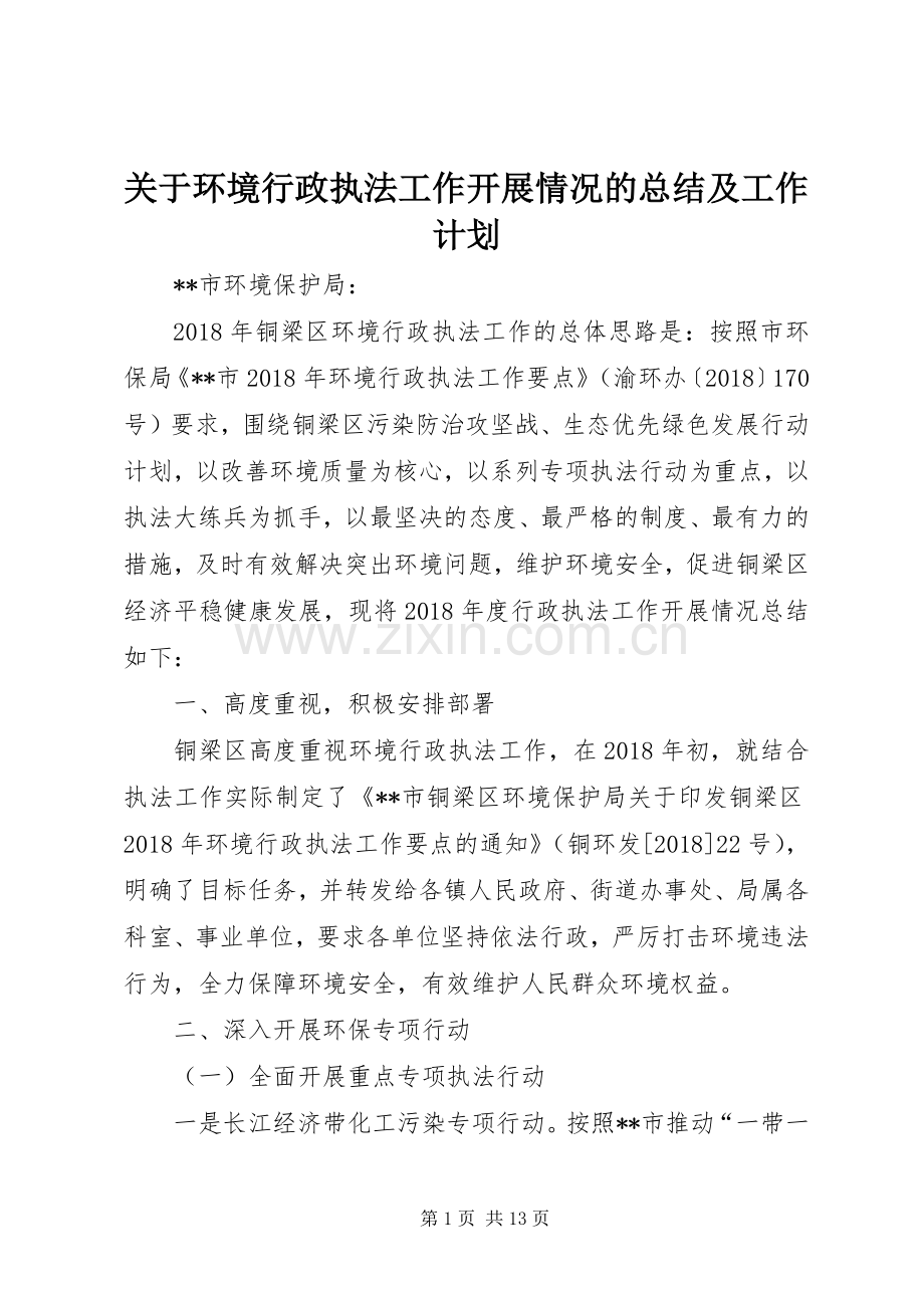 关于环境行政执法工作开展情况的总结及工作计划.docx_第1页