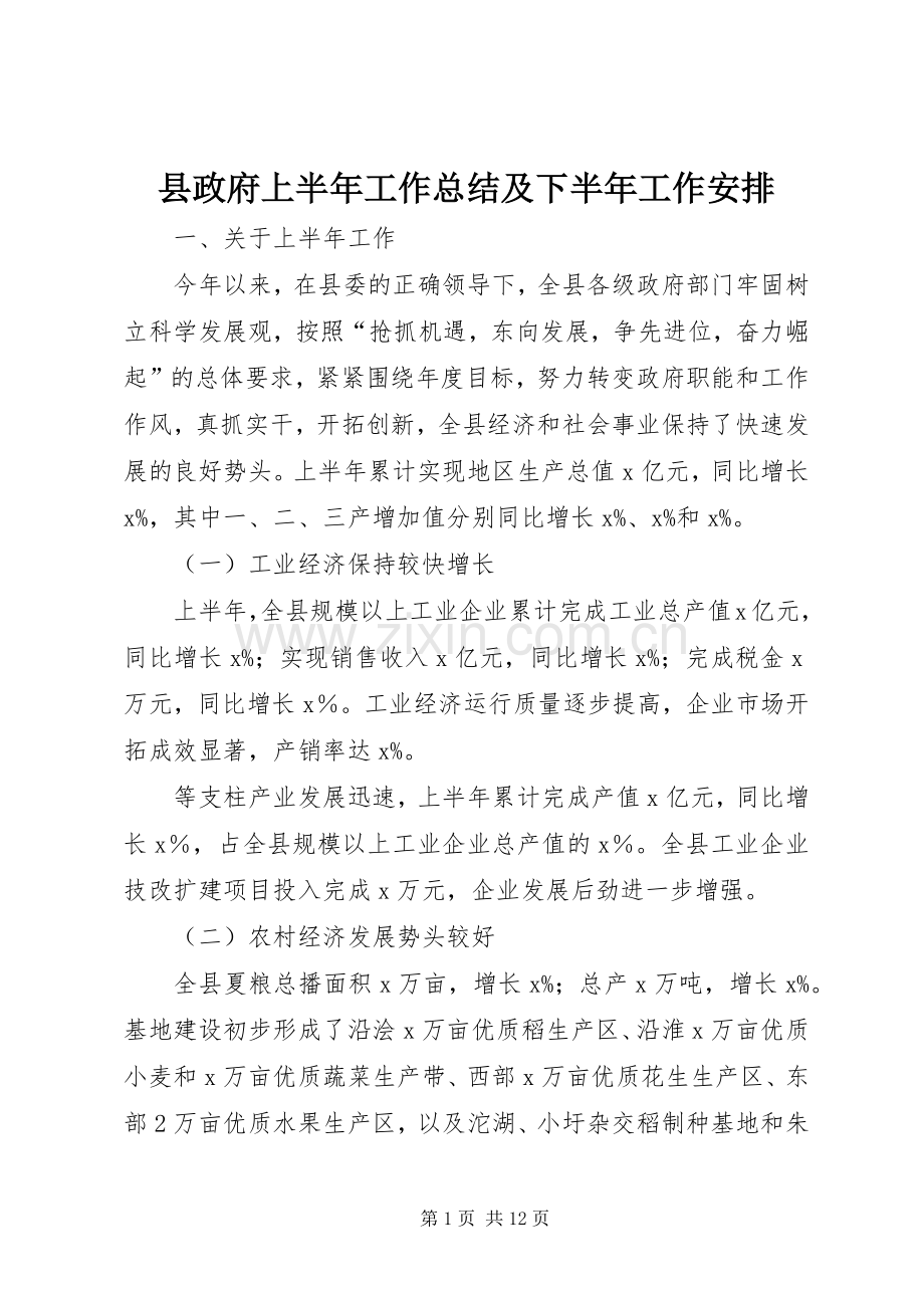 县政府上半年工作总结及下半年工作安排.docx_第1页