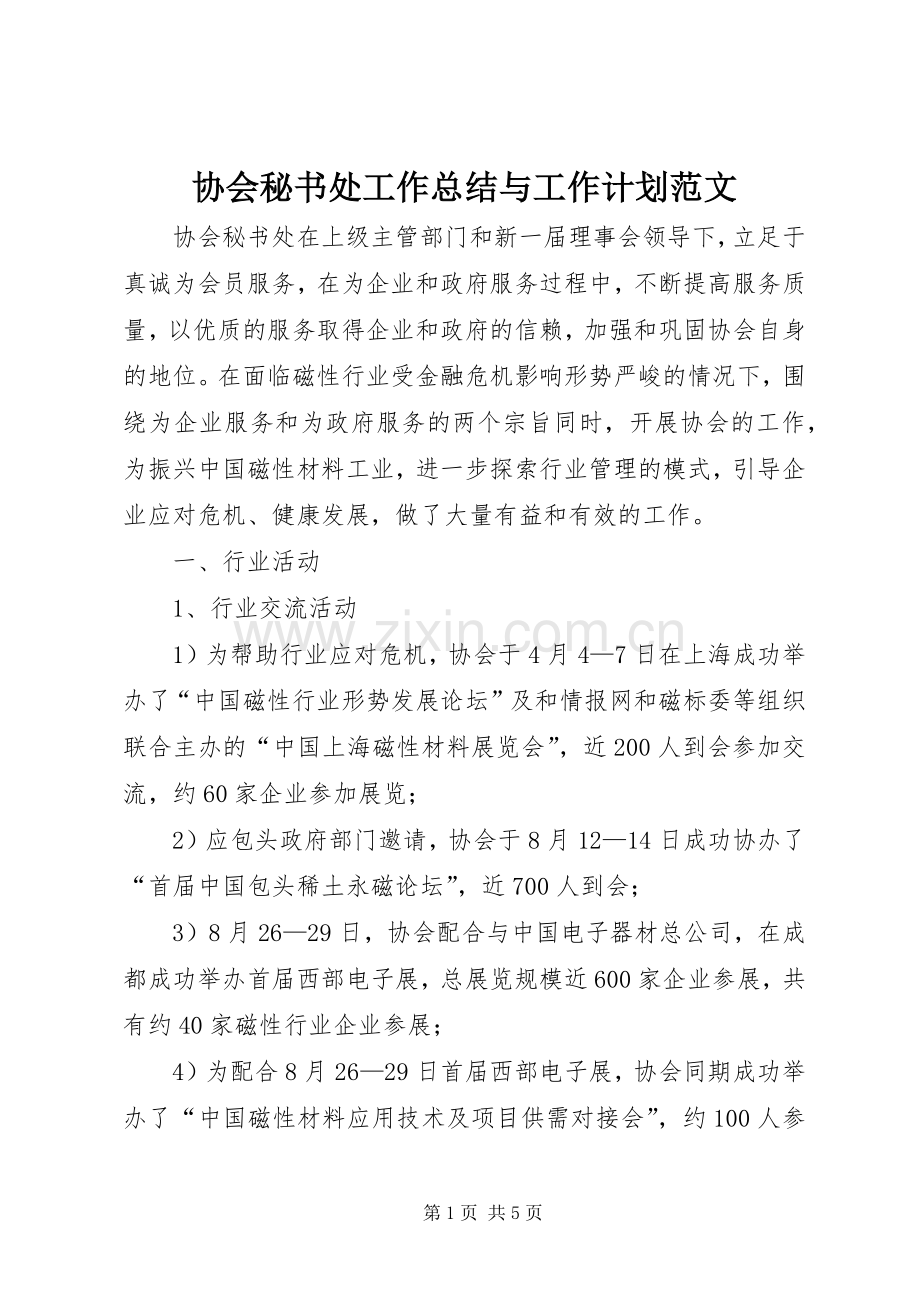 协会秘书处工作总结与工作计划范文.docx_第1页