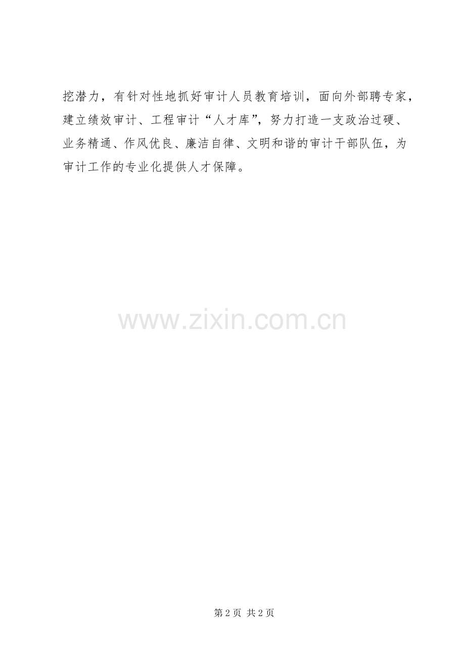 XX年度审计工作计划 .docx_第2页