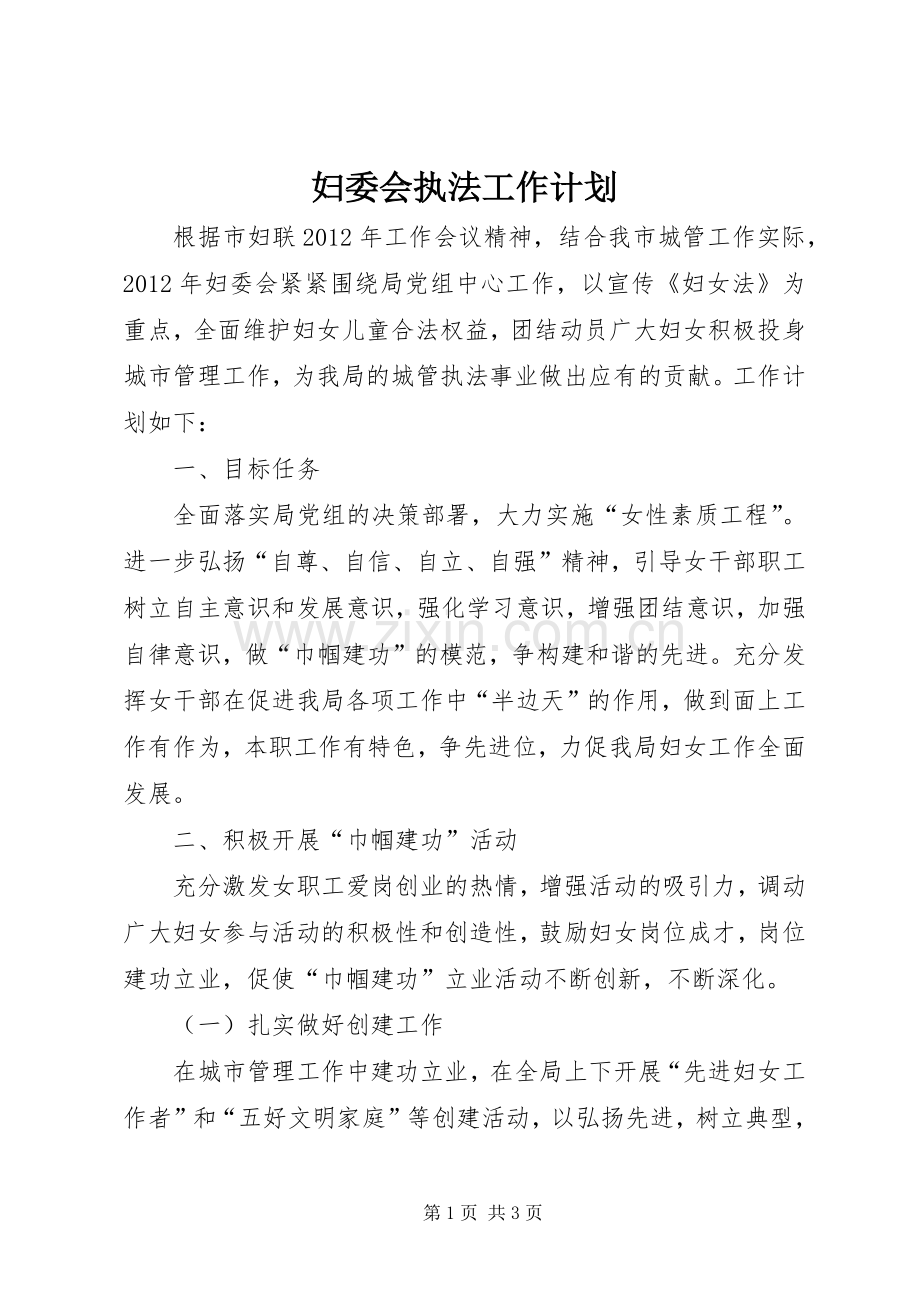 妇委会执法工作计划.docx_第1页