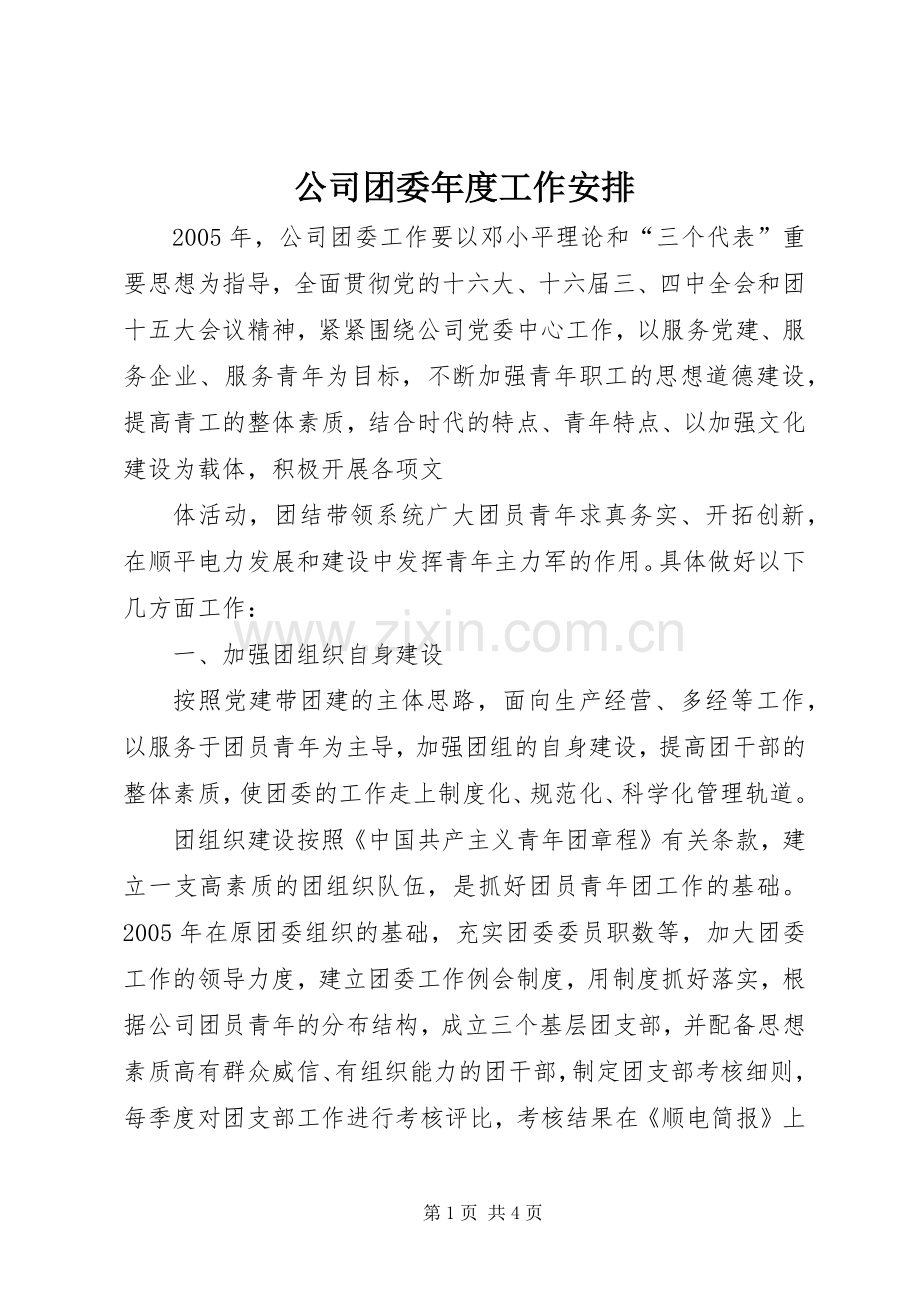 公司团委年度工作安排 .docx_第1页