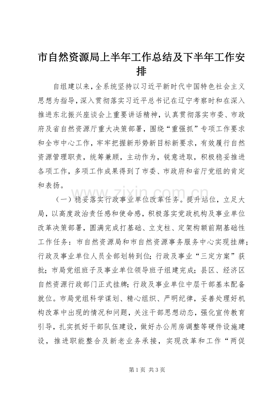 市自然资源局上半年工作总结及下半年工作安排.docx_第1页