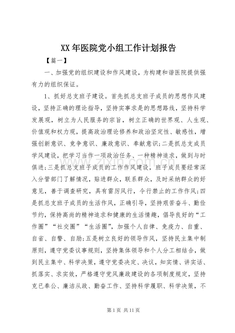 XX年医院党小组工作计划报告.docx_第1页