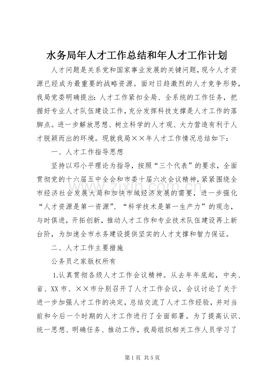 水务局年人才工作总结和年人才工作计划_1.docx_第1页